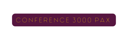 Conference 3000 PAX